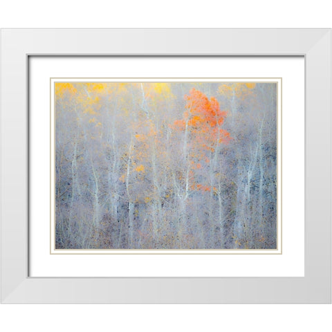 Utah-Logan Pass Autumn colors in Logan Pass Utah White Modern Wood Framed Art Print with Double Matting by Eggers, Julie