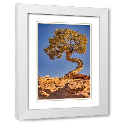 Dead Horse Point-Canyonlands National Park-Utah White Modern Wood Framed Art Print with Double Matting by Ford, John