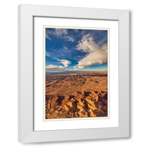Needles Overlook-Canyonlands National Park-Utah White Modern Wood Framed Art Print with Double Matting by Ford, John