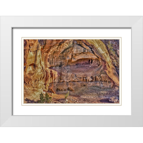 USA-Utah-National Park-Canyonlands National Park-Dead Horse Point-winter-landscape White Modern Wood Framed Art Print with Double Matting by Ford, John