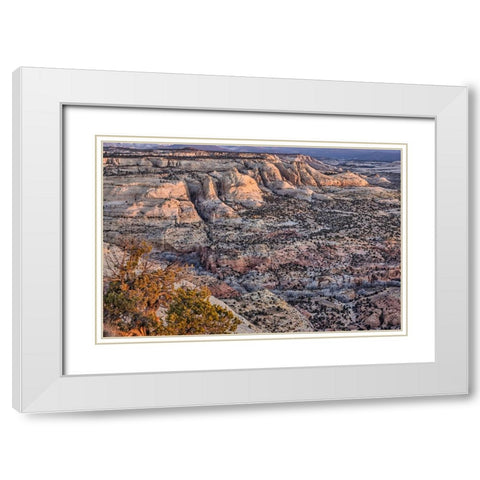Slickrock-Escalante-Utah White Modern Wood Framed Art Print with Double Matting by Ford, John