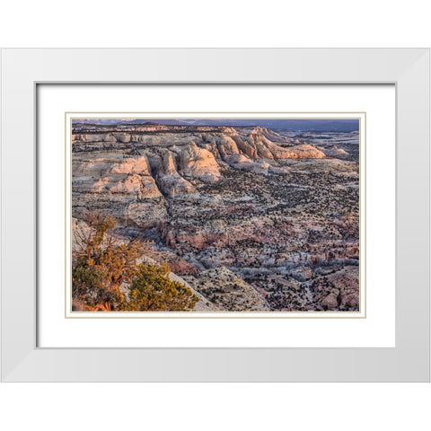 Slickrock-Escalante-Utah White Modern Wood Framed Art Print with Double Matting by Ford, John