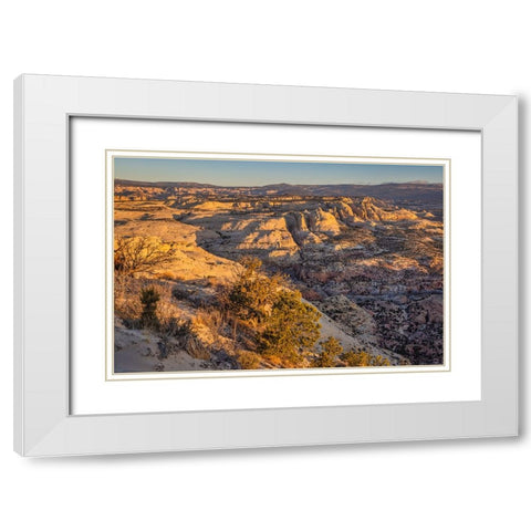 Slickrock-Escalante-Utah White Modern Wood Framed Art Print with Double Matting by Ford, John