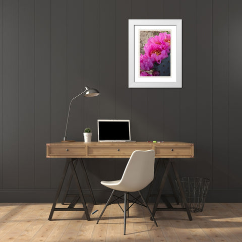 Utah Beavertail prickly pear cactus-Factory Butte-Upper Blue Hills White Modern Wood Framed Art Print with Double Matting by Zimmerman, Judith