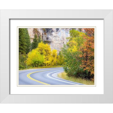 Utah-Logan Pass and highway 89 fall color with Aspen and Maple Trees White Modern Wood Framed Art Print with Double Matting by Gulin, Sylvia