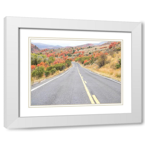 Utah Highway 39 heading west out of Wasatch Mountains with Autumn colors White Modern Wood Framed Art Print with Double Matting by Gulin, Sylvia