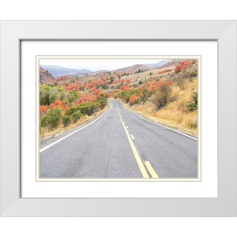 Utah Highway 39 heading west out of Wasatch Mountains with Autumn colors White Modern Wood Framed Art Print with Double Matting by Gulin, Sylvia