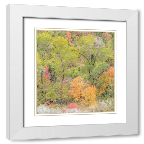 Utah Highway 39 heading west out of Wasatch Mountains with Autumn colors White Modern Wood Framed Art Print with Double Matting by Gulin, Sylvia