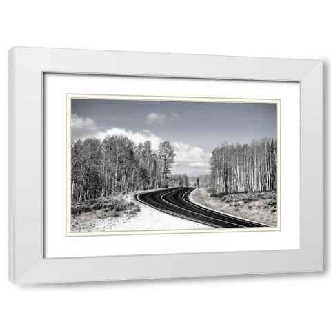 USA-Utah-west of Woodruff aspen trees along highway 39 White Modern Wood Framed Art Print with Double Matting by Gulin, Sylvia