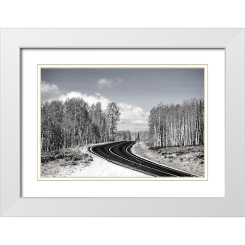 USA-Utah-west of Woodruff aspen trees along highway 39 White Modern Wood Framed Art Print with Double Matting by Gulin, Sylvia
