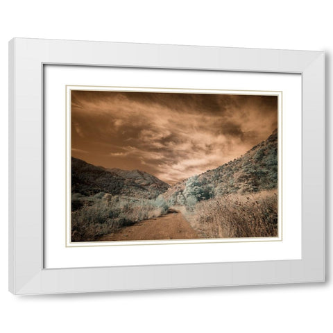 USA-Utah-Infrared of backroad in the Logan Pass area White Modern Wood Framed Art Print with Double Matting by Eggers, Terry