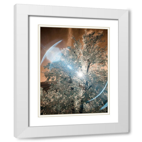 USA-Utah-Infrared of the Logan Pass area White Modern Wood Framed Art Print with Double Matting by Eggers, Terry