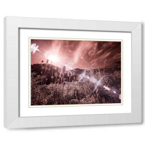 USA-Utah-Infrared of the Logan Pass area with sunrays White Modern Wood Framed Art Print with Double Matting by Eggers, Terry