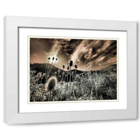 USA-Utah-Infrared of the Logan Pass area White Modern Wood Framed Art Print with Double Matting by Eggers, Terry