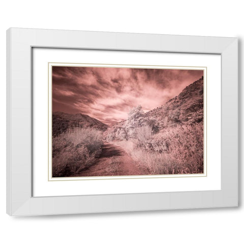 USA-Utah-Infrared of backroad in the Logan Pass area White Modern Wood Framed Art Print with Double Matting by Eggers, Terry