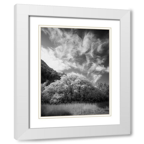 USA-Utah-Infrared of the Logan Pass area and lone tree White Modern Wood Framed Art Print with Double Matting by Eggers, Terry