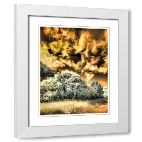 USA-Utah-Infrared of the Logan Pass area and lone tree White Modern Wood Framed Art Print with Double Matting by Eggers, Terry