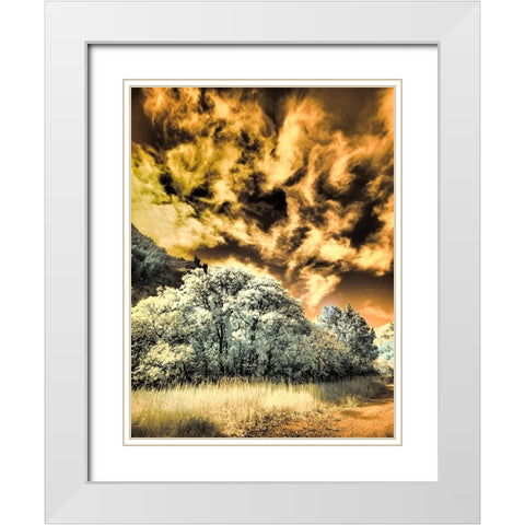 USA-Utah-Infrared of the Logan Pass area and lone tree White Modern Wood Framed Art Print with Double Matting by Eggers, Terry