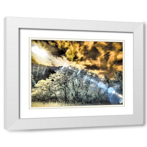 USA-Utah-Infrared of the Logan Pass area and lone tree White Modern Wood Framed Art Print with Double Matting by Eggers, Terry