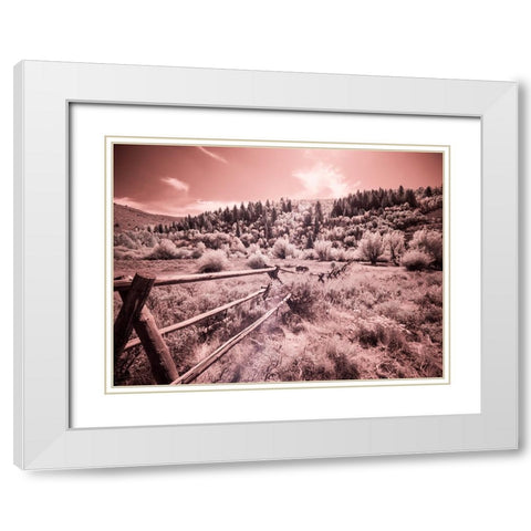 USA-Utah-Infrared of the Logan Pass area with long rail fence White Modern Wood Framed Art Print with Double Matting by Eggers, Terry