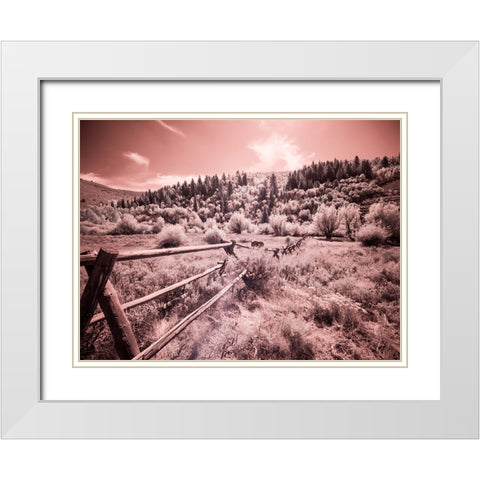 USA-Utah-Infrared of the Logan Pass area with long rail fence White Modern Wood Framed Art Print with Double Matting by Eggers, Terry