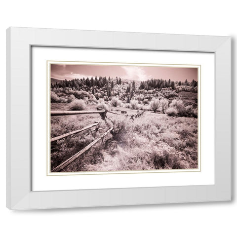 USA-Utah-Infrared of the Logan Pass area with long rail fence White Modern Wood Framed Art Print with Double Matting by Eggers, Terry