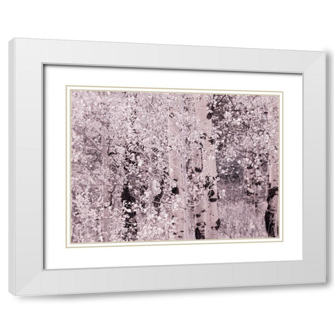 USA-Utah-Aspen Grove in infrared of the Logan Pass area White Modern Wood Framed Art Print with Double Matting by Eggers, Terry