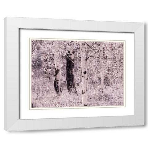 USA-Utah-Aspen Grove in infrared of the Logan Pass area White Modern Wood Framed Art Print with Double Matting by Eggers, Terry
