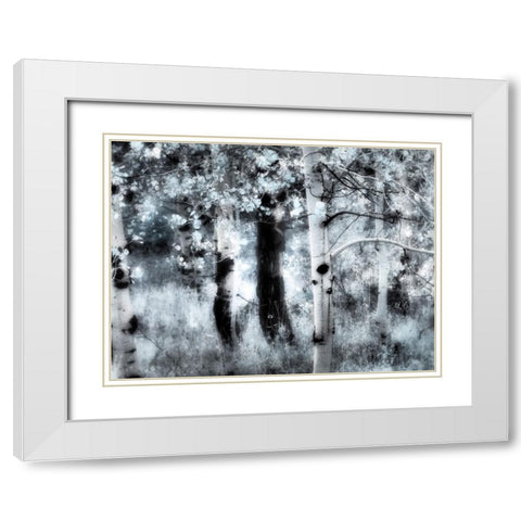 USA-Utah-Aspen Grove in infrared of the Logan Pass area White Modern Wood Framed Art Print with Double Matting by Eggers, Terry
