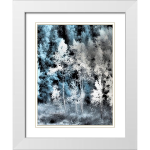 USA-Utah-Aspen Grove in infrared of the Logan Pass area White Modern Wood Framed Art Print with Double Matting by Eggers, Terry