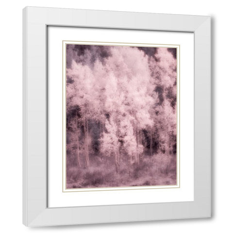 USA-Utah-Aspen Grove in infrared of the Logan Pass area White Modern Wood Framed Art Print with Double Matting by Eggers, Terry
