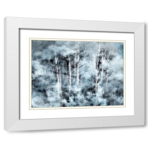 USA-Utah-Aspen Grove in infrared of the Logan Pass area White Modern Wood Framed Art Print with Double Matting by Eggers, Terry