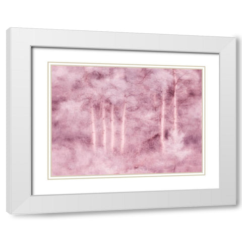 USA-Utah-Aspen Grove in infrared of the Logan Pass area White Modern Wood Framed Art Print with Double Matting by Eggers, Terry