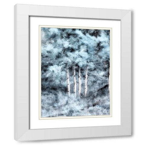 USA-Utah-Aspen Grove in infrared of the Logan Pass area White Modern Wood Framed Art Print with Double Matting by Eggers, Terry