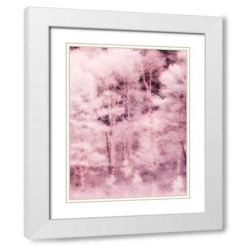USA-Utah-Aspen Grove in infrared of the Logan Pass area White Modern Wood Framed Art Print with Double Matting by Eggers, Terry