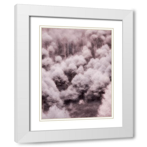 USA-Utah-Aspen Grove in infrared of the Logan Pass area White Modern Wood Framed Art Print with Double Matting by Eggers, Terry