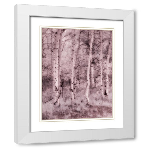 USA-Utah-Aspen Grove in infrared of the Logan Pass area White Modern Wood Framed Art Print with Double Matting by Eggers, Terry