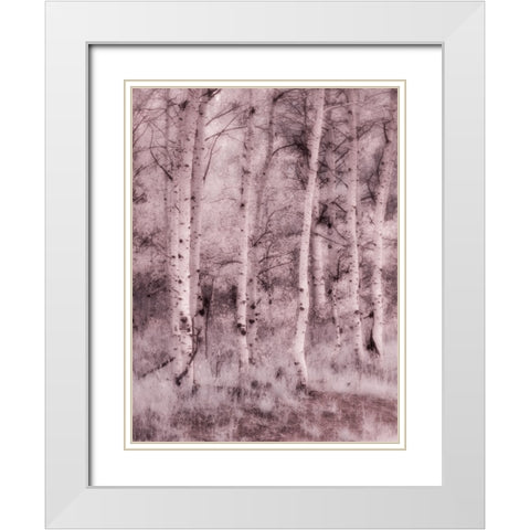 USA-Utah-Aspen Grove in infrared of the Logan Pass area White Modern Wood Framed Art Print with Double Matting by Eggers, Terry