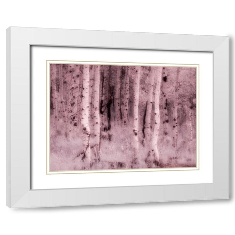 USA-Utah-Aspen Grove in infrared of the Logan Pass area White Modern Wood Framed Art Print with Double Matting by Eggers, Terry