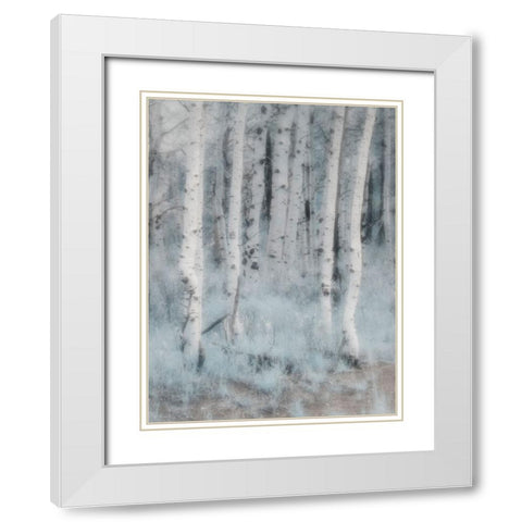 USA-Utah-Aspen Grove in infrared of the Logan Pass area White Modern Wood Framed Art Print with Double Matting by Eggers, Terry