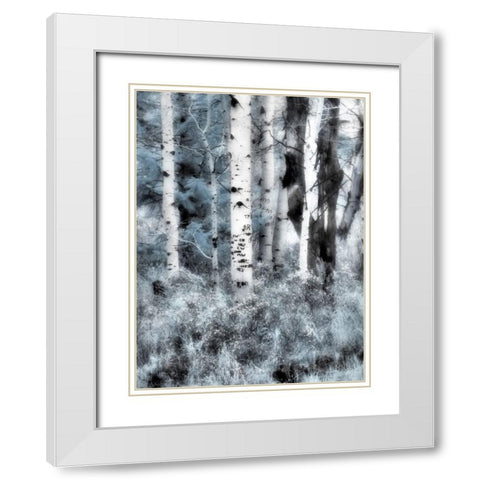 USA-Utah-Aspen Grove in infrared of the Logan Pass area White Modern Wood Framed Art Print with Double Matting by Eggers, Terry