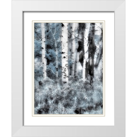 USA-Utah-Aspen Grove in infrared of the Logan Pass area White Modern Wood Framed Art Print with Double Matting by Eggers, Terry