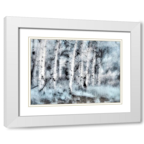 USA-Utah-Aspen Grove in infrared of the Logan Pass area White Modern Wood Framed Art Print with Double Matting by Eggers, Terry