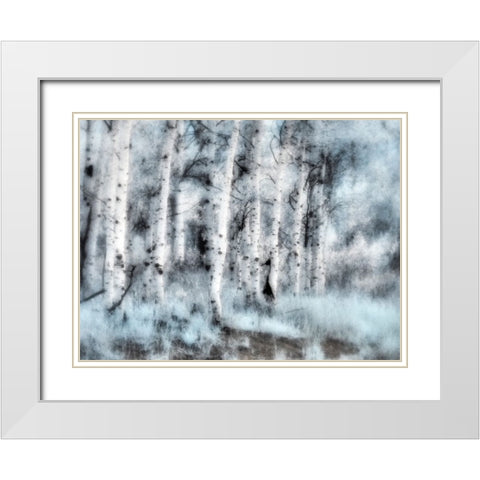 USA-Utah-Aspen Grove in infrared of the Logan Pass area White Modern Wood Framed Art Print with Double Matting by Eggers, Terry