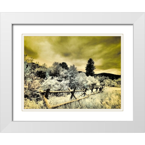 USA-Utah-Infrared of the Logan Pass area with split rai fence White Modern Wood Framed Art Print with Double Matting by Eggers, Terry
