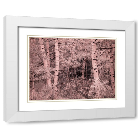 USA-Utah-Aspen Grove in infrared of the Logan Pass area White Modern Wood Framed Art Print with Double Matting by Eggers, Terry
