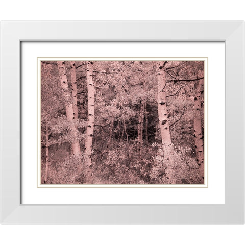 USA-Utah-Aspen Grove in infrared of the Logan Pass area White Modern Wood Framed Art Print with Double Matting by Eggers, Terry
