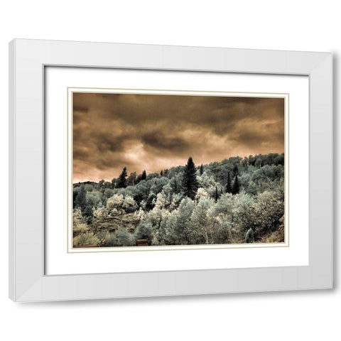 USA-Utah-Aspen Grove in infrared of the Logan Pass area White Modern Wood Framed Art Print with Double Matting by Eggers, Terry
