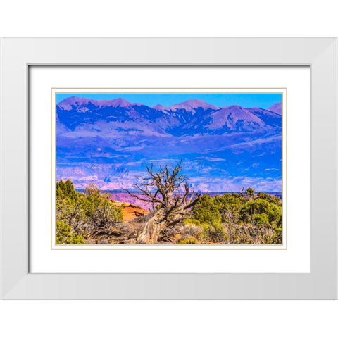 Old wood branch- Abajo Mountains- Canyonlands National Park- Moab- Utah. White Modern Wood Framed Art Print with Double Matting by Perry, William