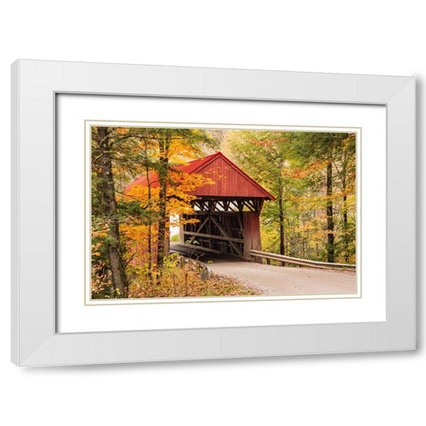 USA-Vermont-Stowe-Sterling Valley Road covered bridge in fall foliage White Modern Wood Framed Art Print with Double Matting by Jones, Allison